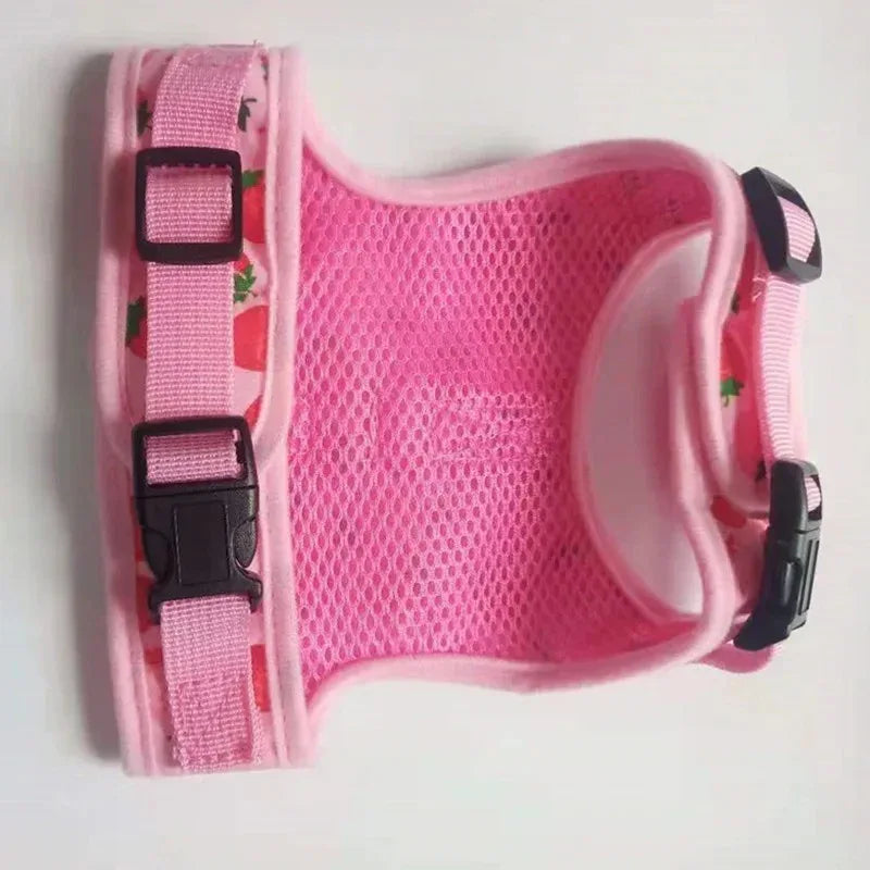 Harnas Kraag Escape Proof Tuig En Leiband Set Ademend Kitten Puppy Kleine Honden Borst Vest Geen Pull - Ruffy