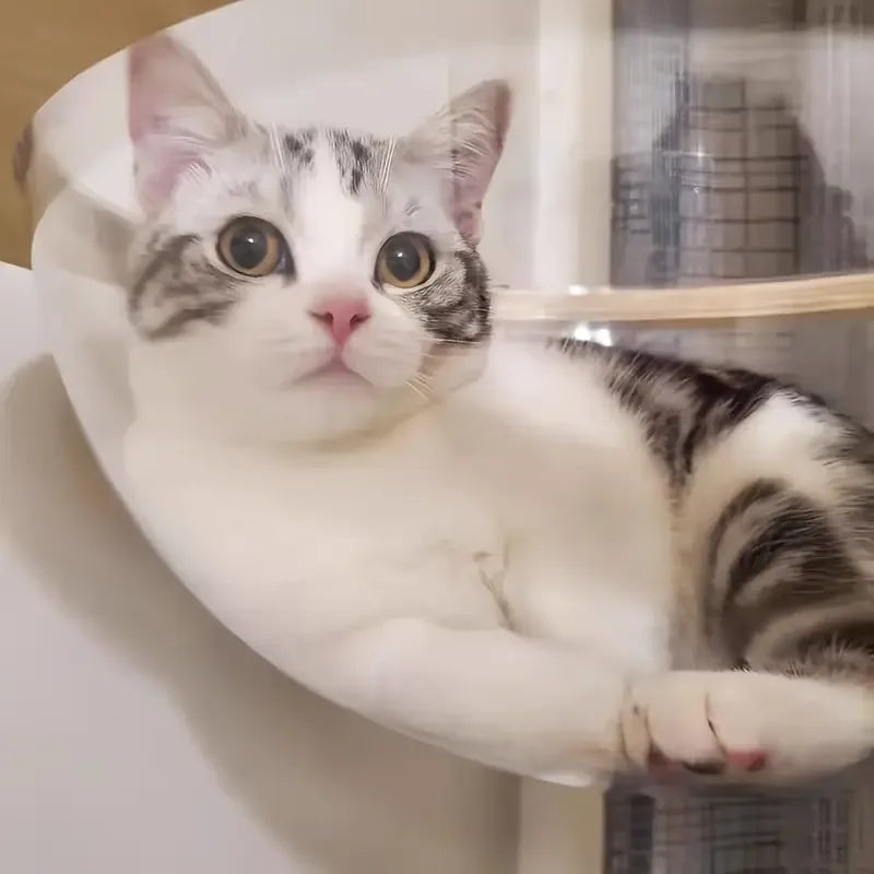 Kattencapsule met Klimrek Massief Hout Transparant Design Comfortabel en Ruimtebesparend - Ruffy