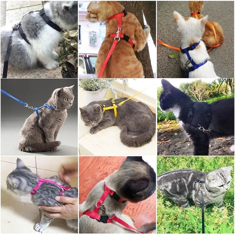 Duurzaam verstelbaar nylon kattentuig met bijpassende riem – veiligheid en comfort voor actieve katten - Ruffy