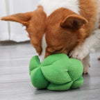 Snuffelende Broccoli Interactieve Traktatie Speelgoed - Ruffy