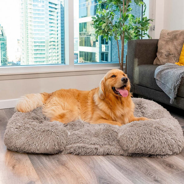 Wolkenbed | Orthopedisch Hondenbed