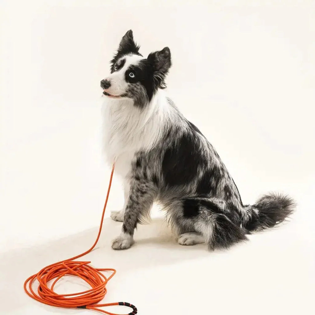 Extra Lange Honden Leiband Riem Stevig Waterproof - Ruffy