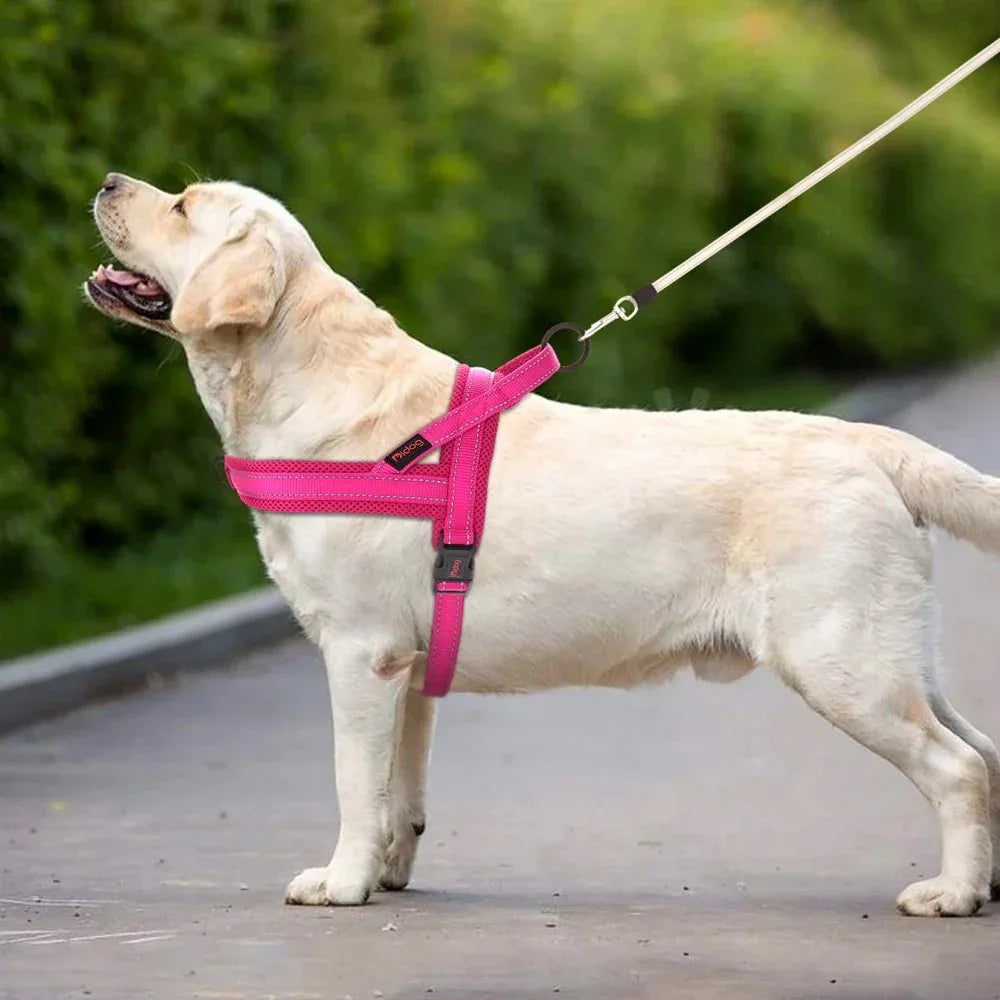 Anti trek tuigje met reflectie - Ruffy