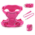Complete hondenset Harnas Halsband Leiband en Poepzakhouder Verstelbaar en Stijlvol - Ruffy