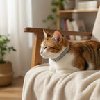 Vlooien- en Tekenpreventie Halsband voor Honden en Katten, Verstelbare Pasvorm - Ruffy