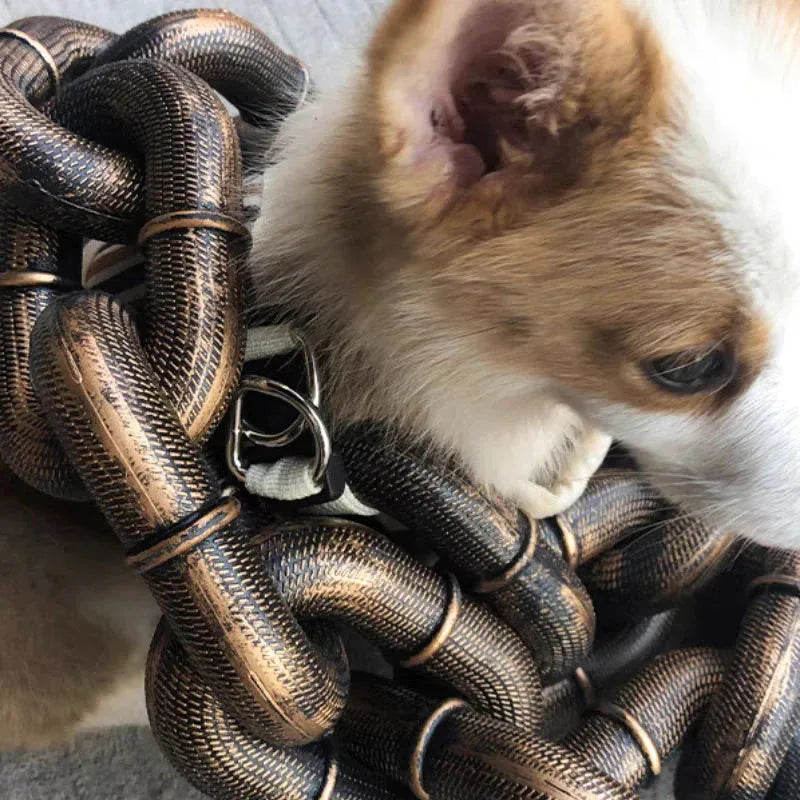Hondenriem | Zware Dikke Plastic Ketting | Veilige Clip | Voor Grote Honden - Ruffy
