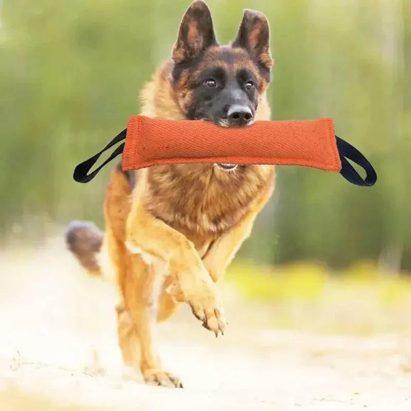 Duurzaam Honden Kauwspeelgoed Met Bijtstok - Ruffy