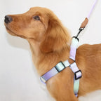Ergonomisch Hondenharnas Met Riem Verbeterd Comfort Verstelbare Pasvorm Duurzaam Polyester Levendige Kleuren - Ruffy