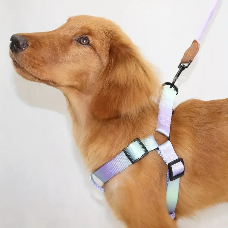 Ergonomisch Hondenharnas Met Riem Verbeterd Comfort Verstelbare Pasvorm Duurzaam Polyester Levendige Kleuren - Ruffy