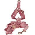 Stijlvolle Bloemmotief Hondenset Met Halsband, Harnas, Riem en Bloemenaccessoire - Ruffy