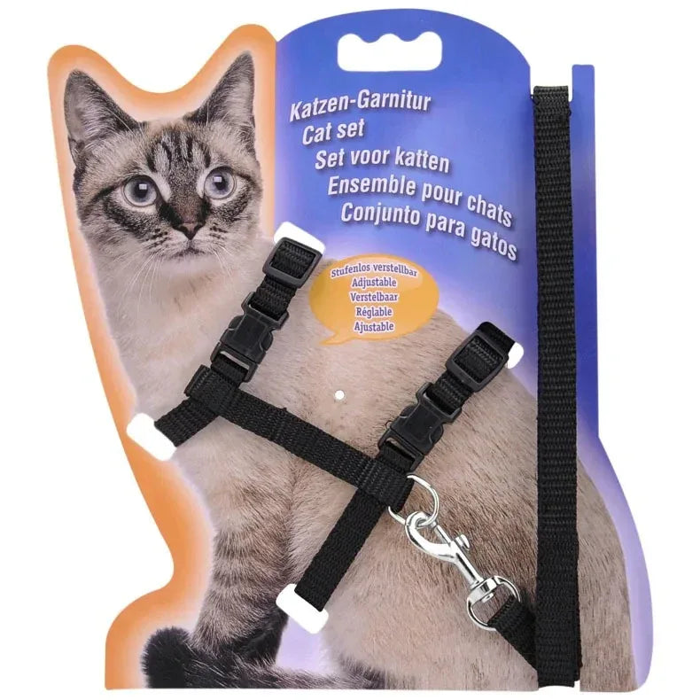 Duurzaam verstelbaar nylon kattentuig met bijpassende riem – veiligheid en comfort voor actieve katten - Ruffy
