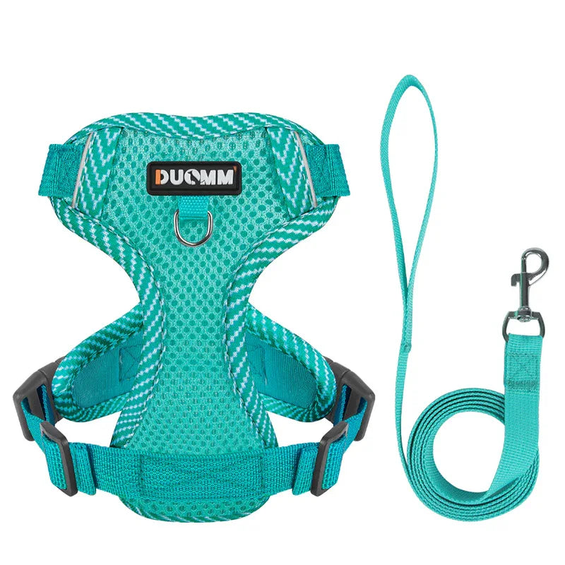 Doggiekit Step-In Hondentuig, Verstelbare Harnas Hond, Ademende Zacht, No Pull Kleine en Middelgrote Honden, Hondenharnas Mesh, Huisdier Vest Voor Dagelijkse Training, Wandelen, Hardlopen Doggiekit Step-In Hondentuig, Verstelbare Harnas Hond, Ademende Zacht, No Pull Kleine en Middelgrote Honden, Hondenharnas Mesh, Huisdier Vest Voor Dagelijkse Training, Wandelen, Hardlopen