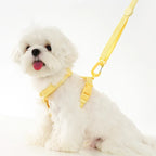 Lichte Kleur Hondentuig Leiband Set Voor Kleine Honden - Ruffy