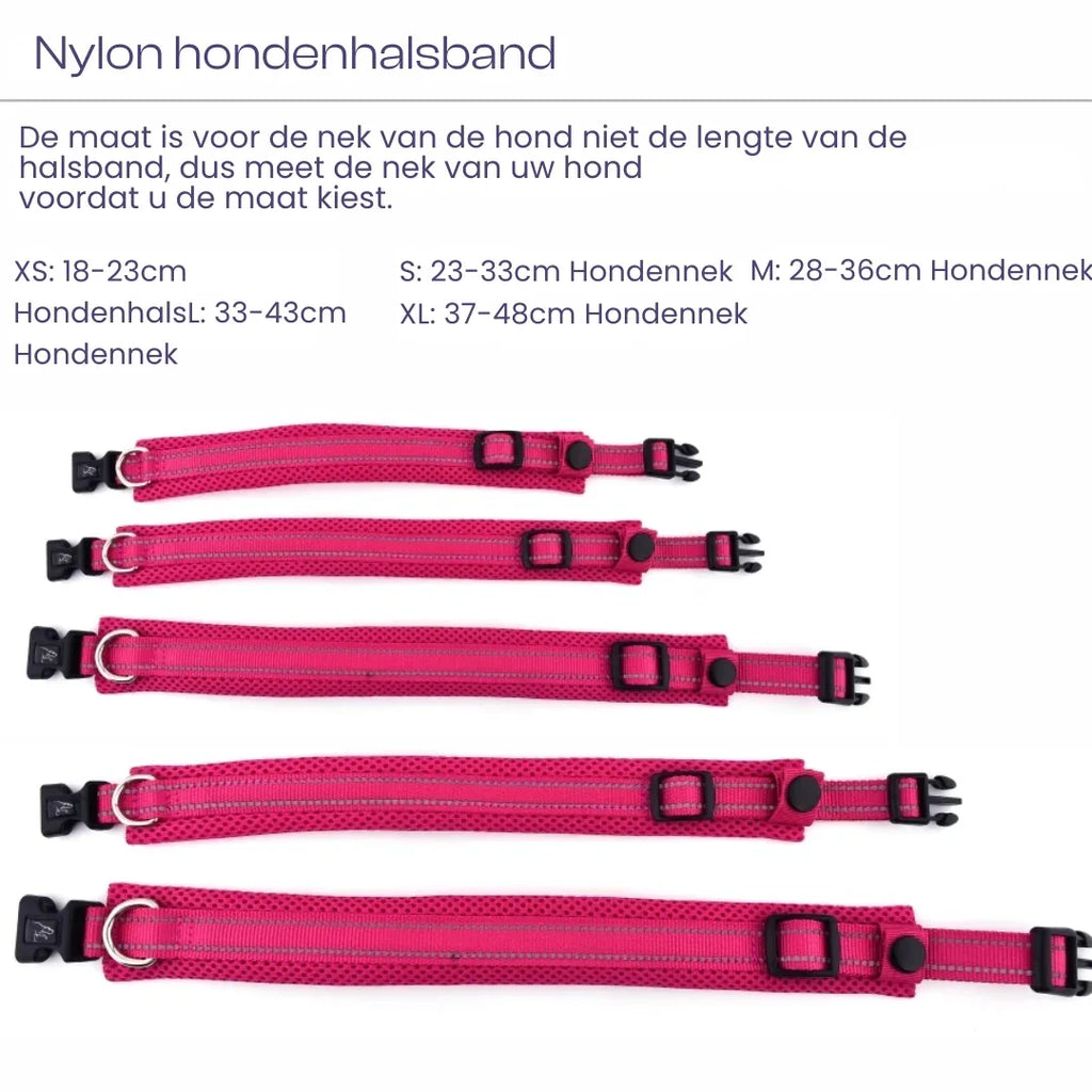 Verstelbare Gevoerde Reflecterende Nylon Hondenhalsband Comfortabel Duurzaam Veilig Voor Training en Wandelingen - Ruffy