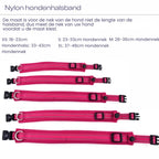 Verstelbare Gevoerde Reflecterende Nylon Hondenhalsband Comfortabel Duurzaam Veilig Voor Training en Wandelingen - Ruffy