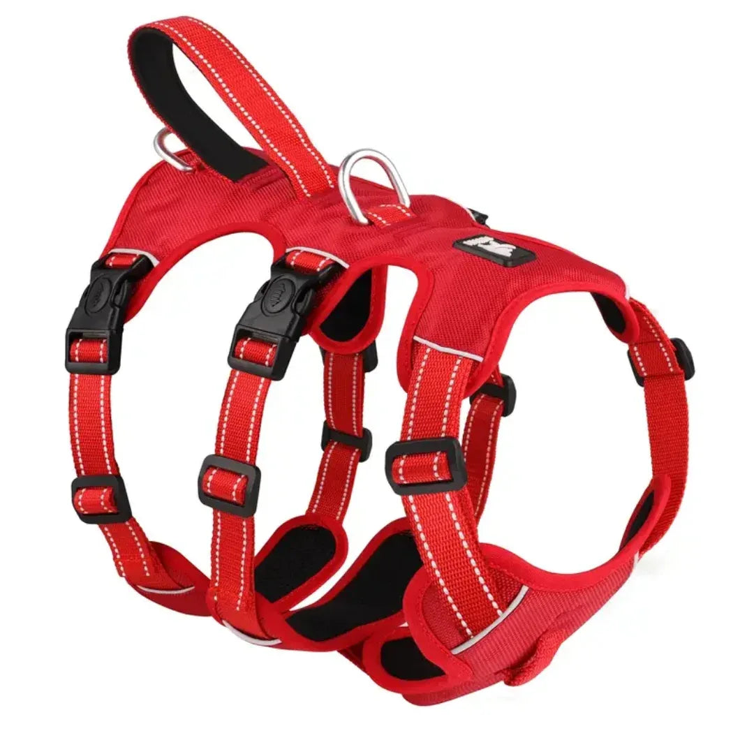 Huntboo Middelgrote Ontsnappingsvrije Hondentuig, Anti-trek Reflecterend Harnas, Veilig 4-punts Vest voor Kleine Dieren, Verstelbaar, voor Grote Honden Buiten Training, Wandelen (Zwart,M Huntboo Middelgrote Ontsnappingsvrije Hondentuig, Anti-trek Reflecterend Harnas, Veilig 4-punts Vest voor Kleine Dieren, Verstelbaar, voor Grote Honden Buiten Training, Wandelen (Zwart,M
