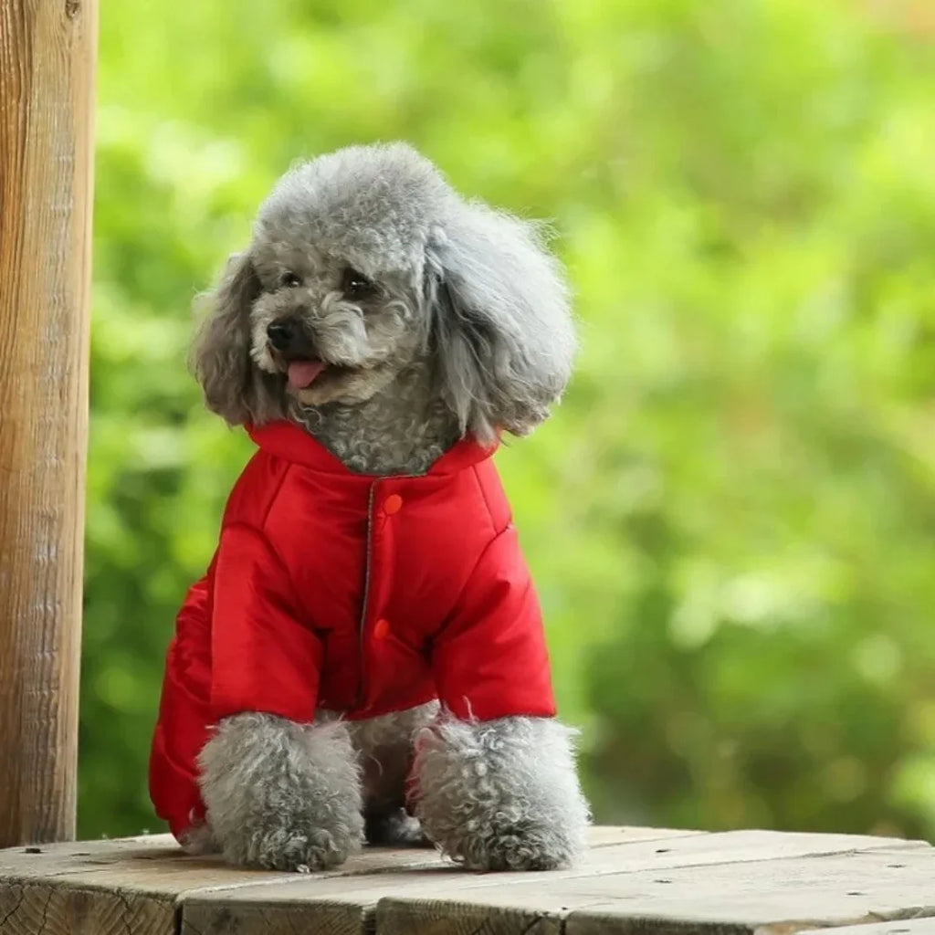 Kleine en Medium Hondenjas Winter Dons Machinewasbaar, Waterdicht - Ruffy