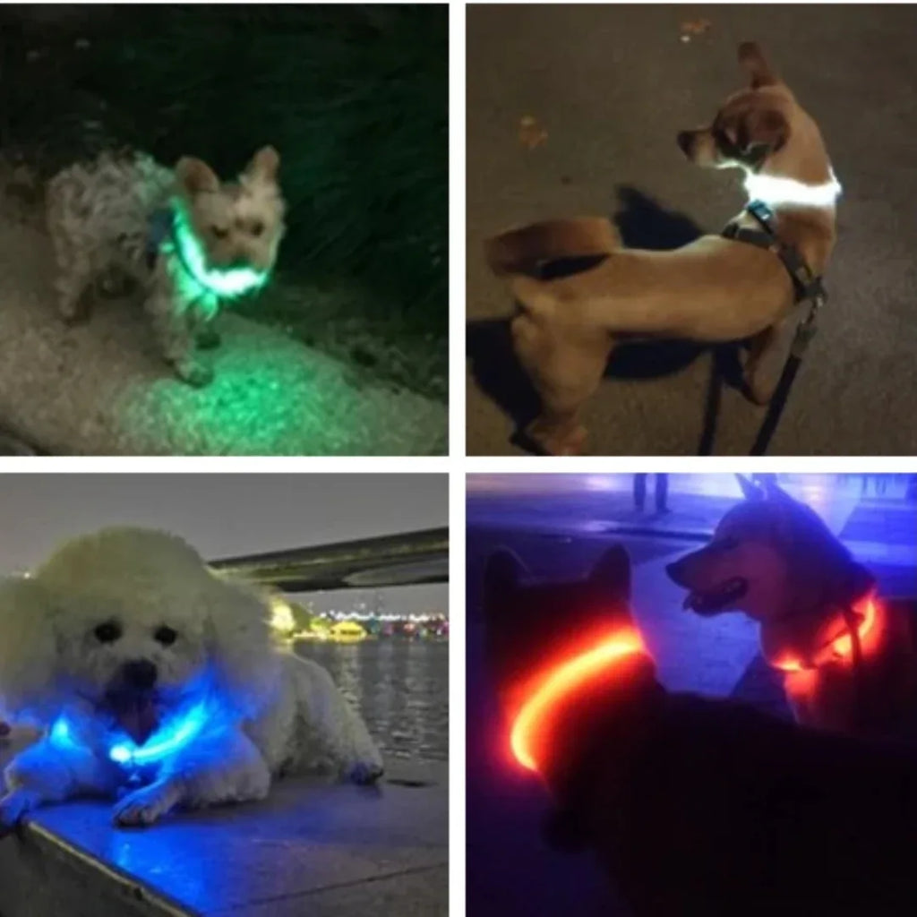 USB Oplaadbare LED Veiligheidshalsband Voor Huisdieren Verhoogde Zichtbaarheid Comfortabel Waterbestendig Lange Batterijduur - Ruffy