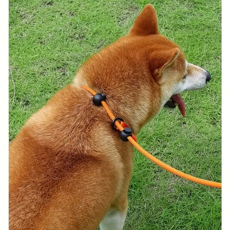Reflecterende Nylon Hondenriem Glow-In-Dark Comfortabele Grip Duurzaam Veilig Voor Nachtelijke Wandelingen - Ruffy
