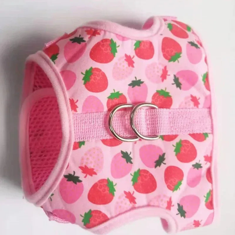 Harnas Kraag Escape Proof Tuig En Leiband Set Ademend Kitten Puppy Kleine Honden Borst Vest Geen Pull - Ruffy