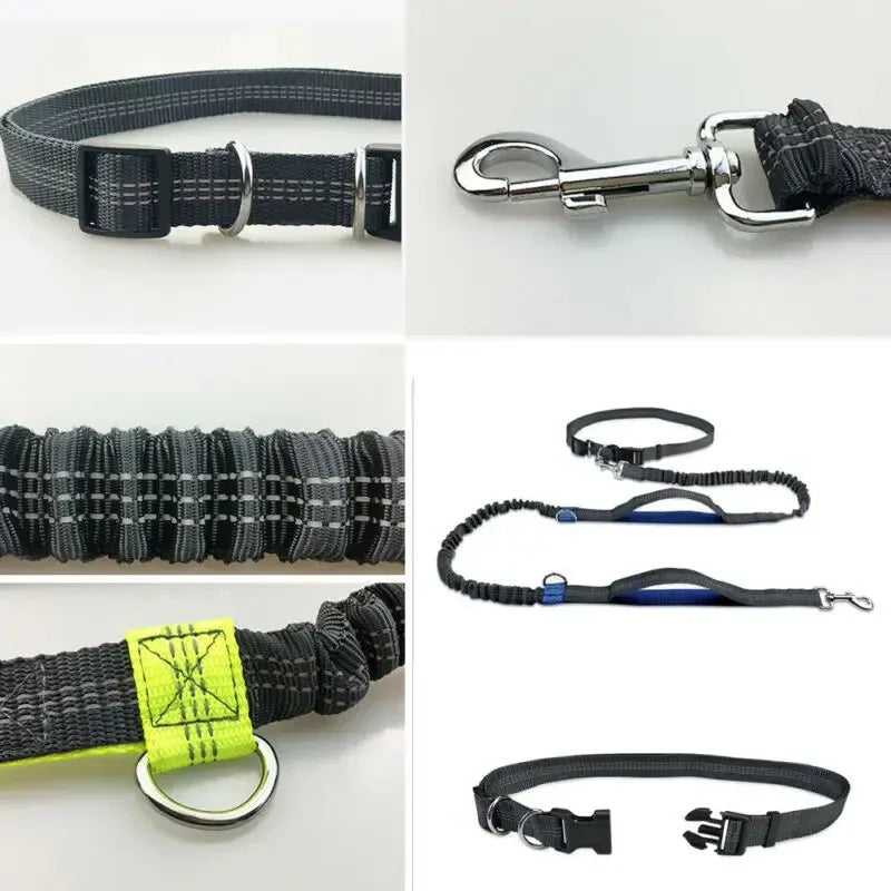 Hands-Free Elastische Hondenriem | Reflecterend | Verstelbare Lengte | Schokabsorberend | Duurzaam Nylon - Ruffy