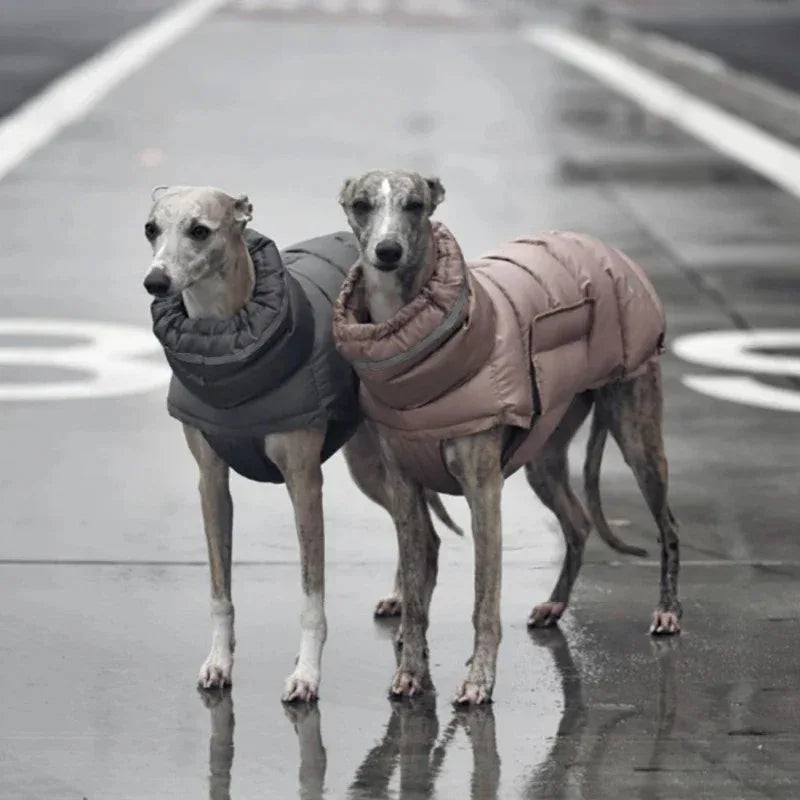 Waterdichte Winterjas voor Honden Warm Verstelbaar met Reflecterende Strips Machinewasbaar - Ruffy