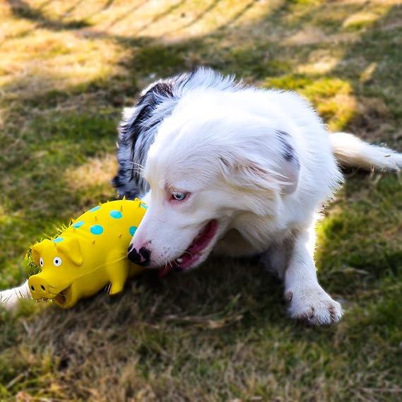 Squeaky Leuk Varken Hondenspeelgoed - Ruffy