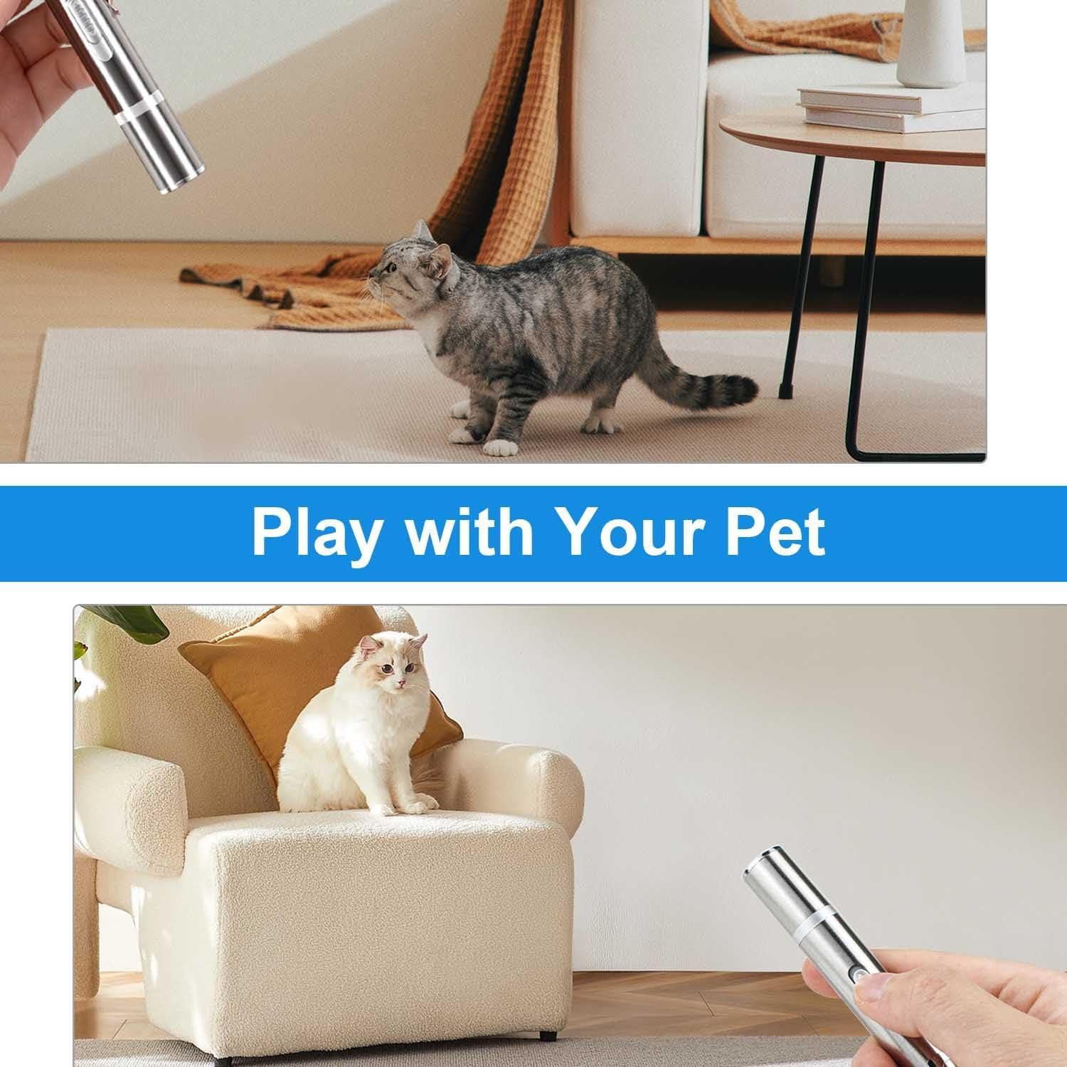 VOVIGGOL Interactief Huisdierspeeltje – Slimme LED Trainer - Ruffy