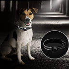 Hondenhalsband | Reflecterend Gevoerd Design | Nylon | Ingebouwde Trackerhouder - Ruffy