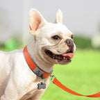 Neopreen Gevoerde Hondenhalsband extra Sterk En Reflecterend - Ruffy
