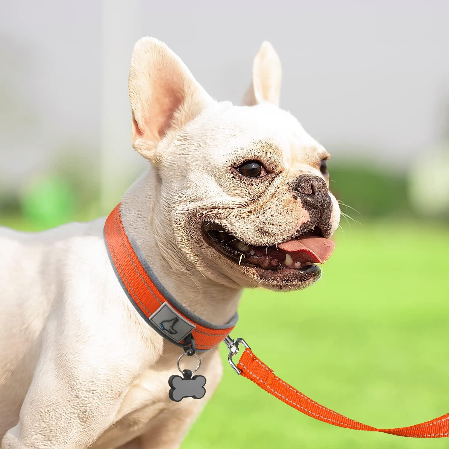 Neopreen Gevoerde Hondenhalsband extra Sterk En Reflecterend - Ruffy