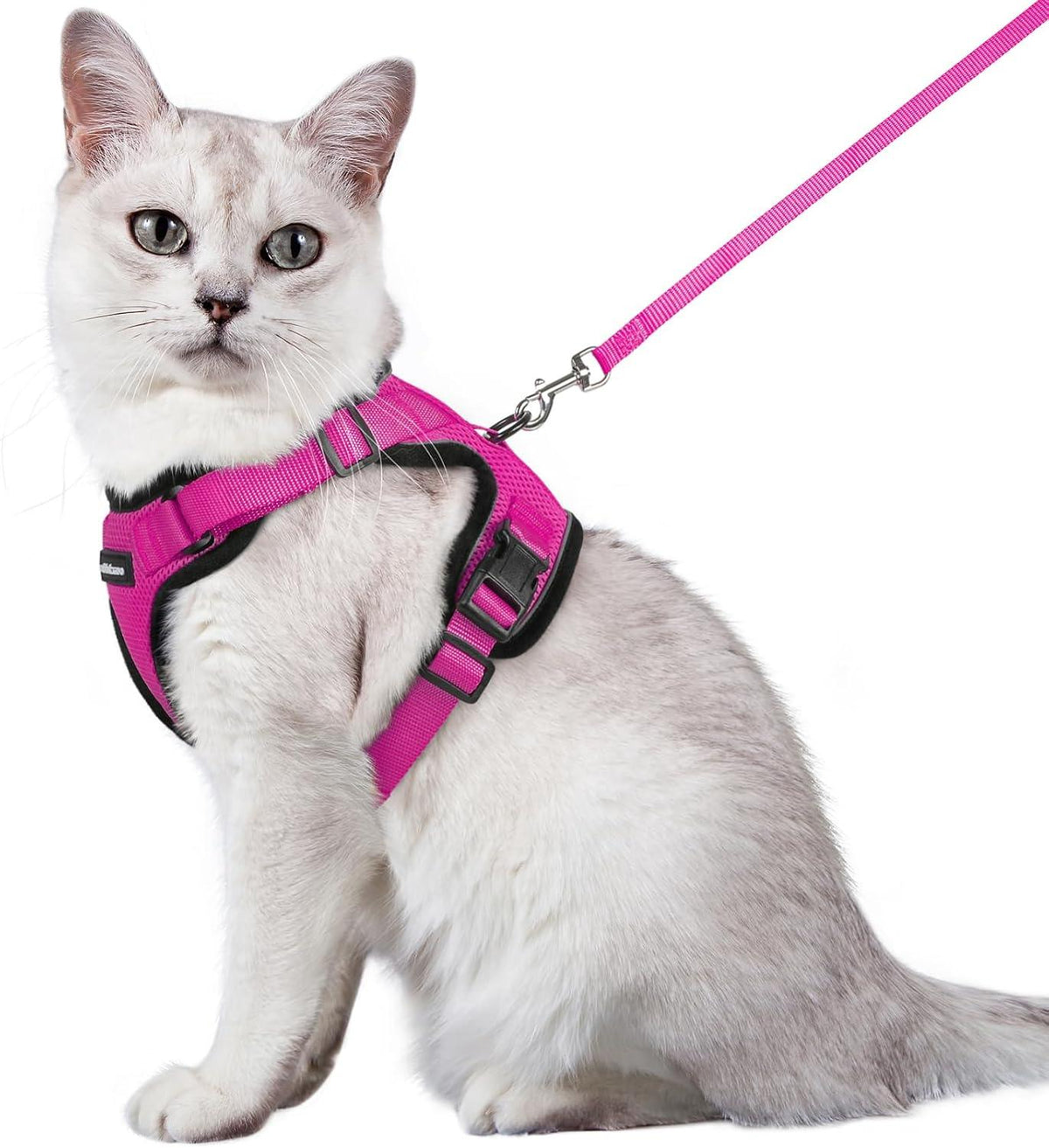 Kattentuigset | Anti-Ontsnapping Reflecterend Vest | Verstelbare Banden - Ruffy