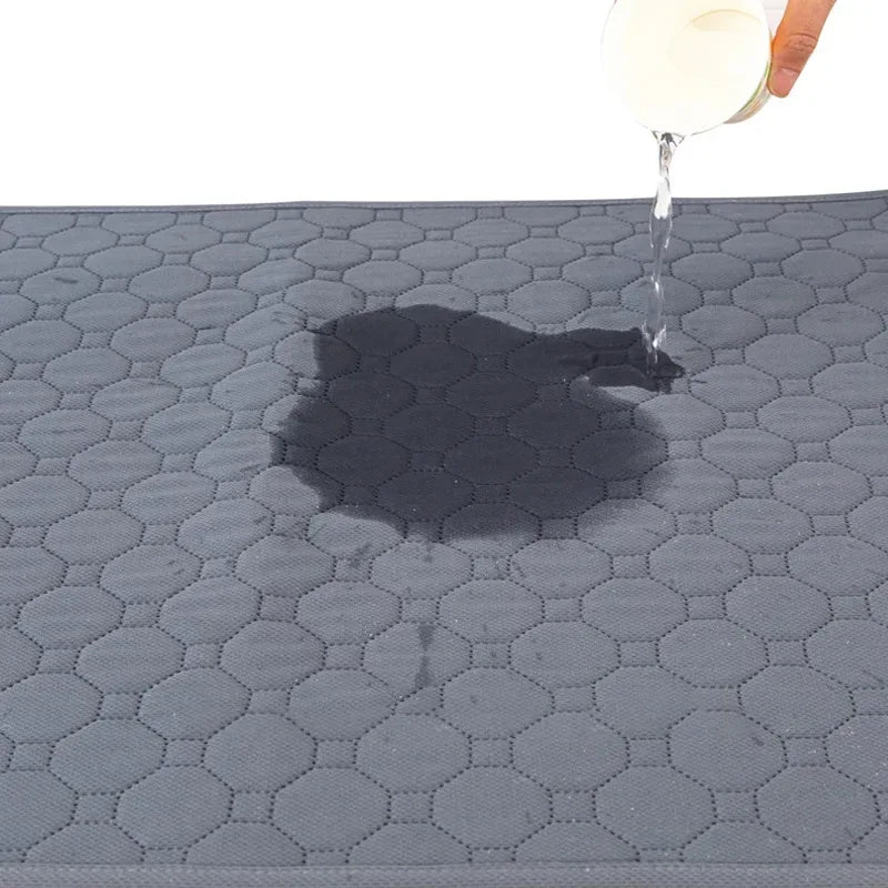 Snel Absorberende Hondenplasdeken - Ruffy
