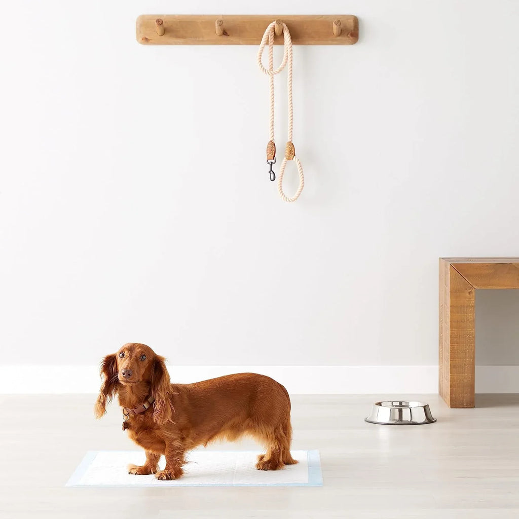Basics Hondenmatjes – 5-Lagen Ontwerp met Sneldrogend Effect - Ruffy