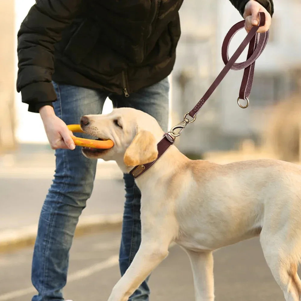 Halsband Leiband Set Op Maat - Ruffy