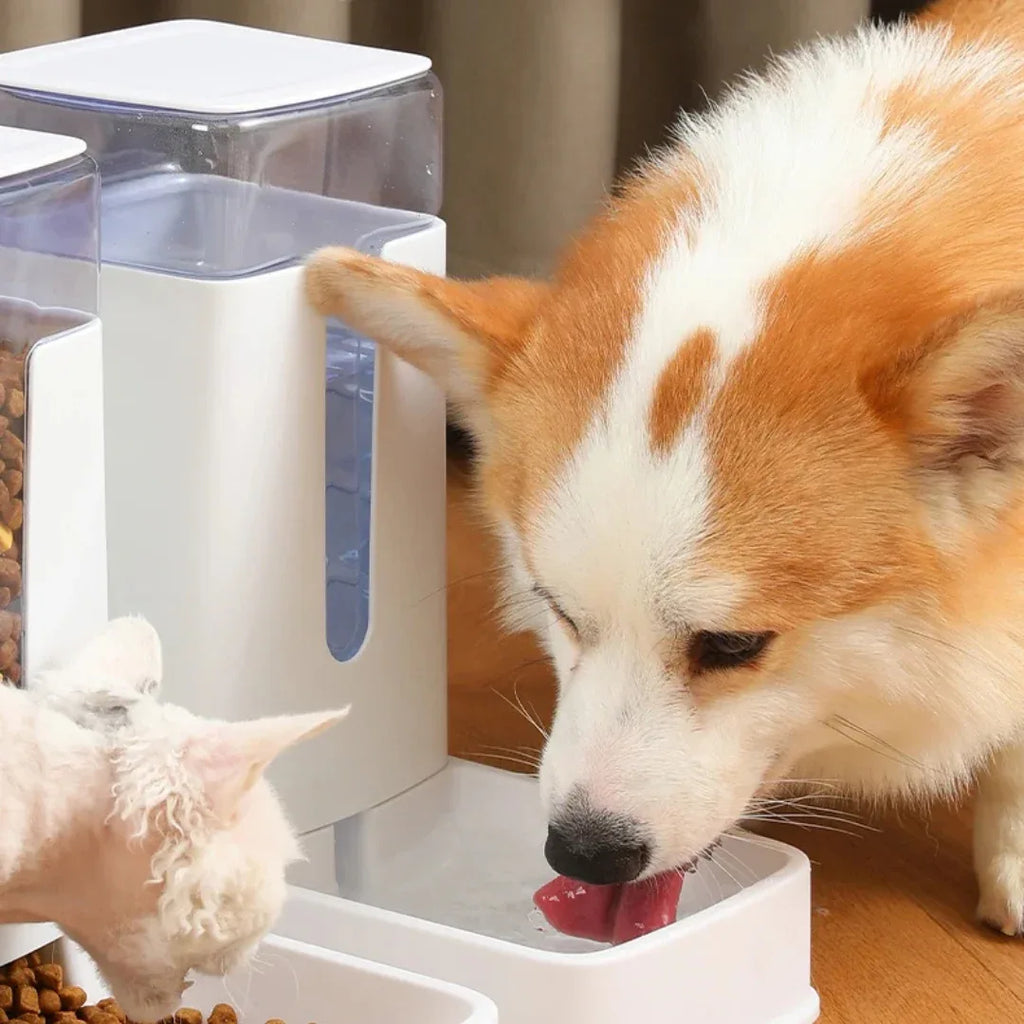 Automatische voer- en waterdispenser Voor Honden En Katten - Ruffy