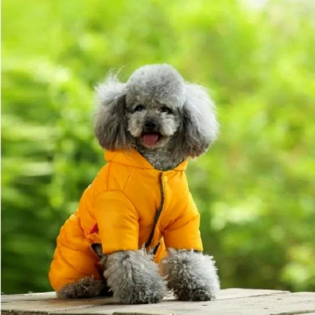 Kleine en Medium Hondenjas Winter Dons Machinewasbaar, Waterdicht - Ruffy