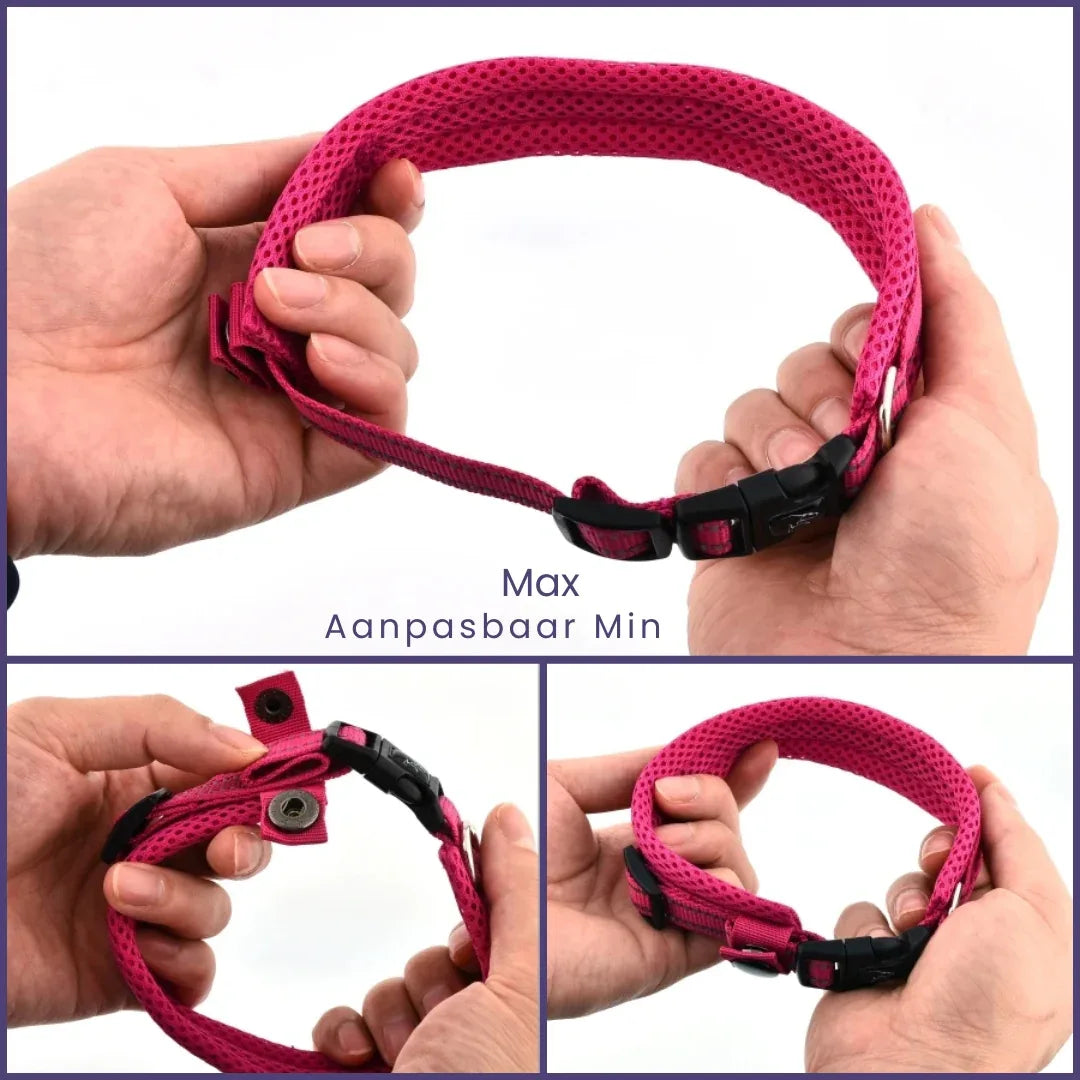 Verstelbare Gevoerde Reflecterende Nylon Hondenhalsband Comfortabel Duurzaam Veilig Voor Training en Wandelingen - Ruffy