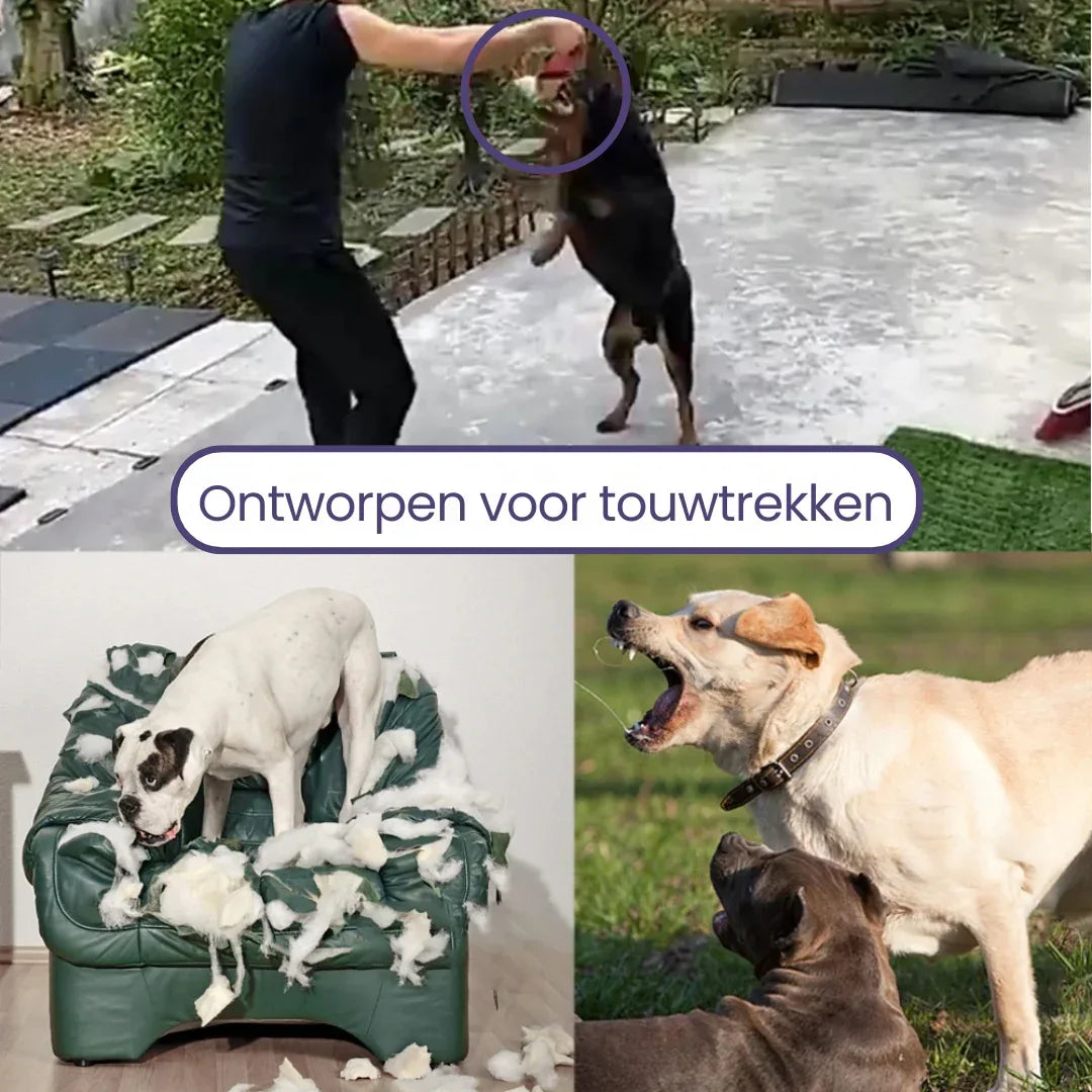 Hond Bijt Training Kauw Speelgoed - Ruffy