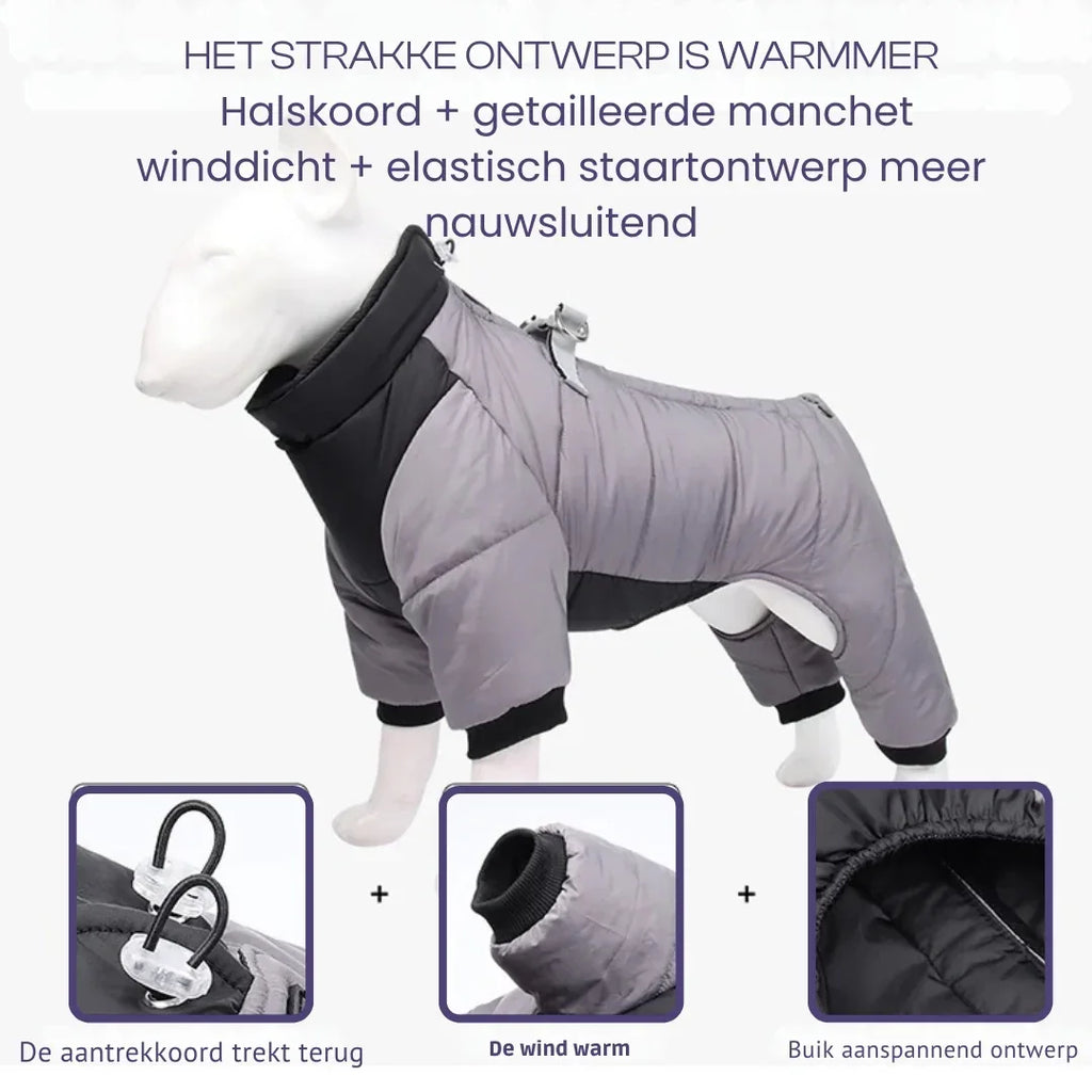 Reflecterende Waterdichte Winter Jumpsuit Voor Franse Bulldogs Warm Veilig Duurzaam Met Harnas - Ruffy