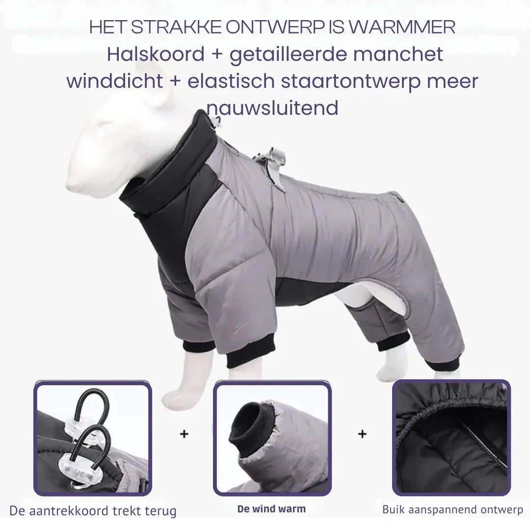 Reflecterende Waterdichte Winter Jumpsuit Voor Franse Bulldogs Warm Veilig Duurzaam Met Harnas - Ruffy