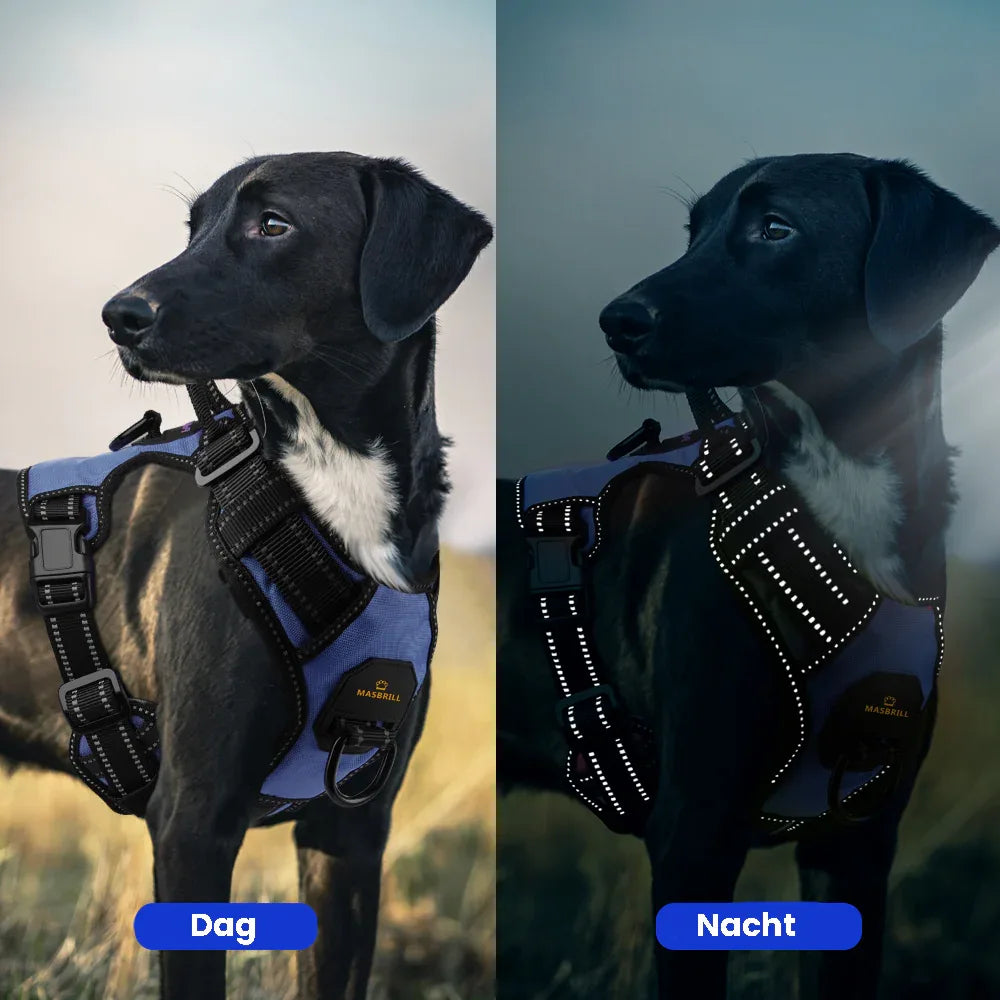 Niet-trekkend Reflecterend Hondenharnas - Ruffy