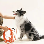 Extra Lange Honden Leiband Riem Stevig Waterproof - Ruffy