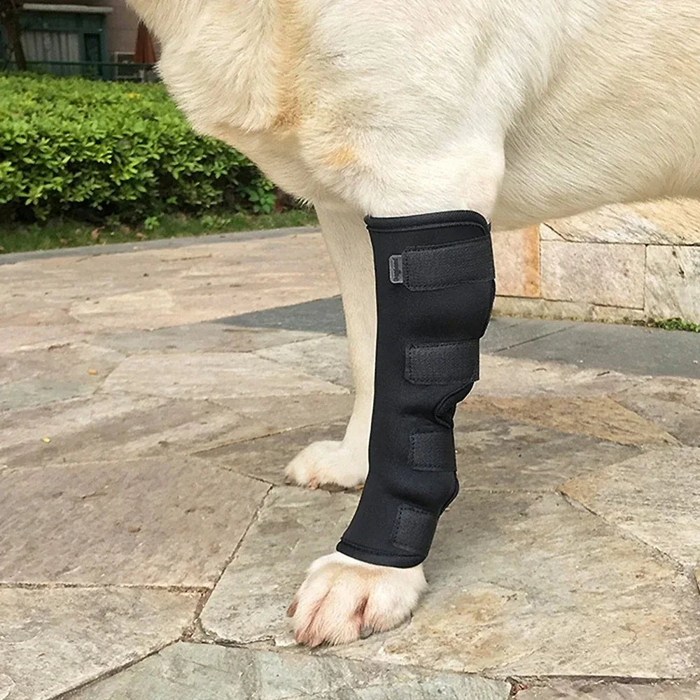 Hondenkniebrace | Orthopedische Ondersteuning | Verstelbare Compressiewrap - Ruffy