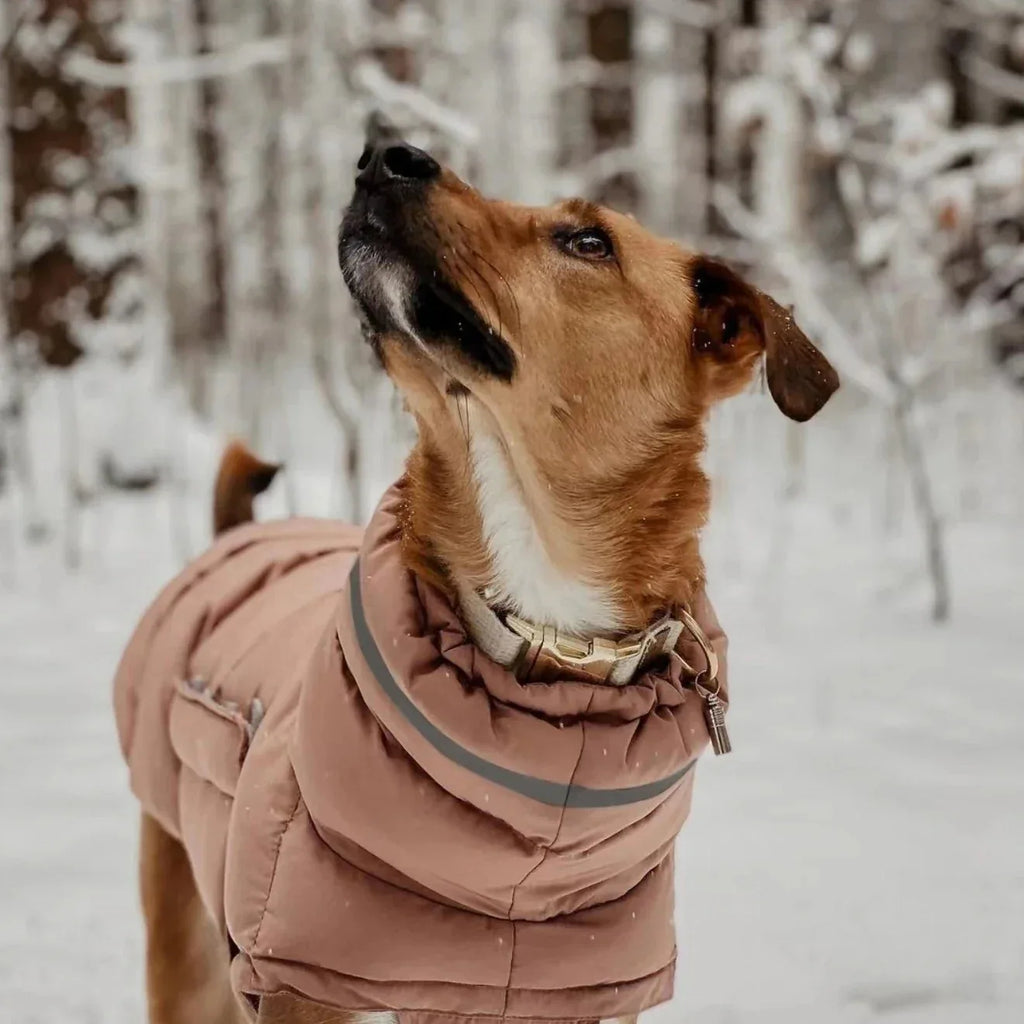 Waterdichte Winterjas voor Honden Warm Verstelbaar met Reflecterende Strips Machinewasbaar - Ruffy