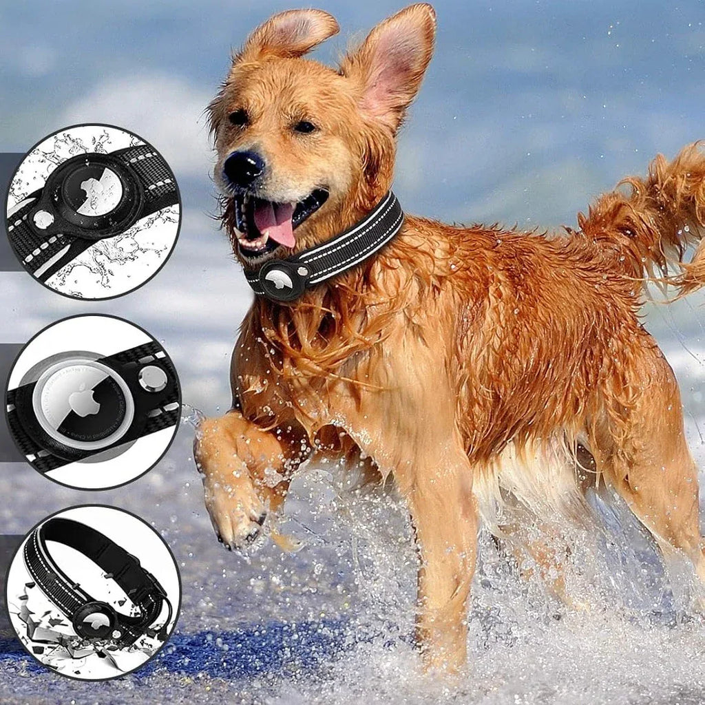 Hondenhalsband | Reflecterend Gevoerd Design | Nylon | Ingebouwde Trackerhouder - Ruffy