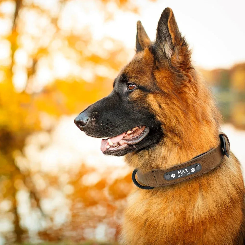 Aangepaste ID Lederen Hondenhalsband - Ruffy