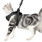Luxe verstelbaar kattentuigje met bijpassende riem – Stijlvol en comfortabel voor dagelijkse wandelingen - Ruffy
