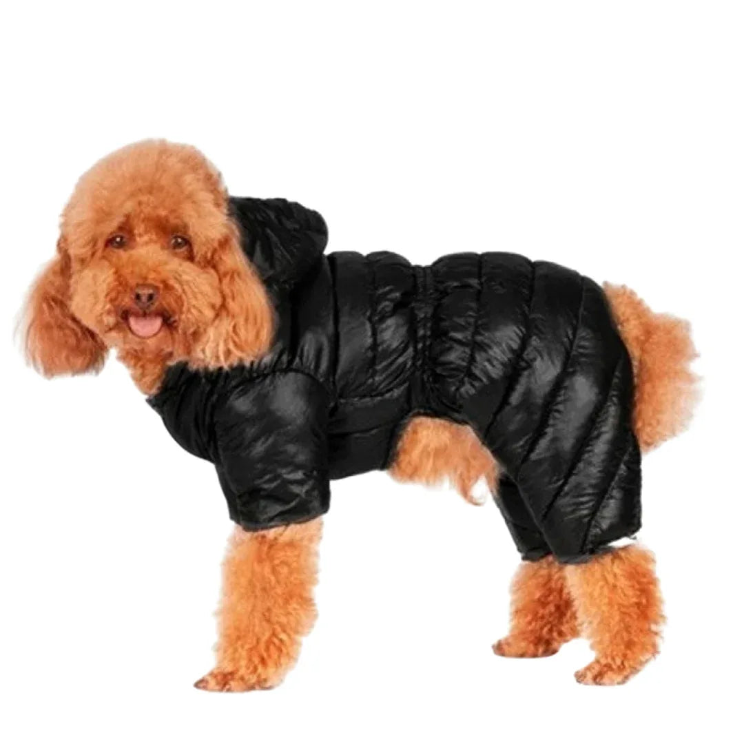 Kleine en Medium Hondenjas Winter Dons Machinewasbaar, Waterdicht - Ruffy