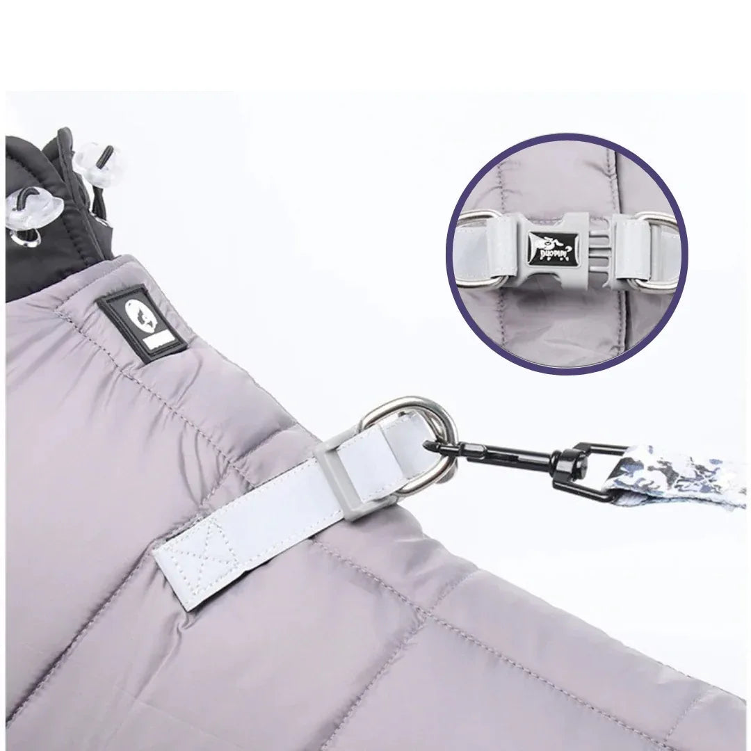 Reflecterende Waterdichte Winter Jumpsuit Voor Franse Bulldogs Warm Veilig Duurzaam Met Harnas - Ruffy